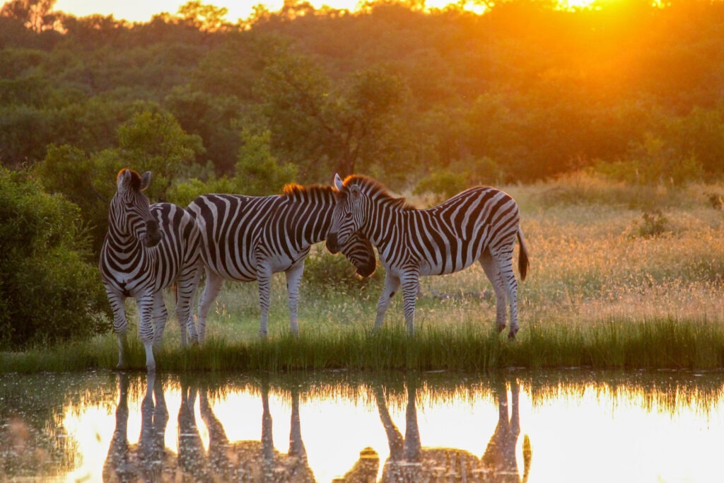 Best places to visit in South Africa