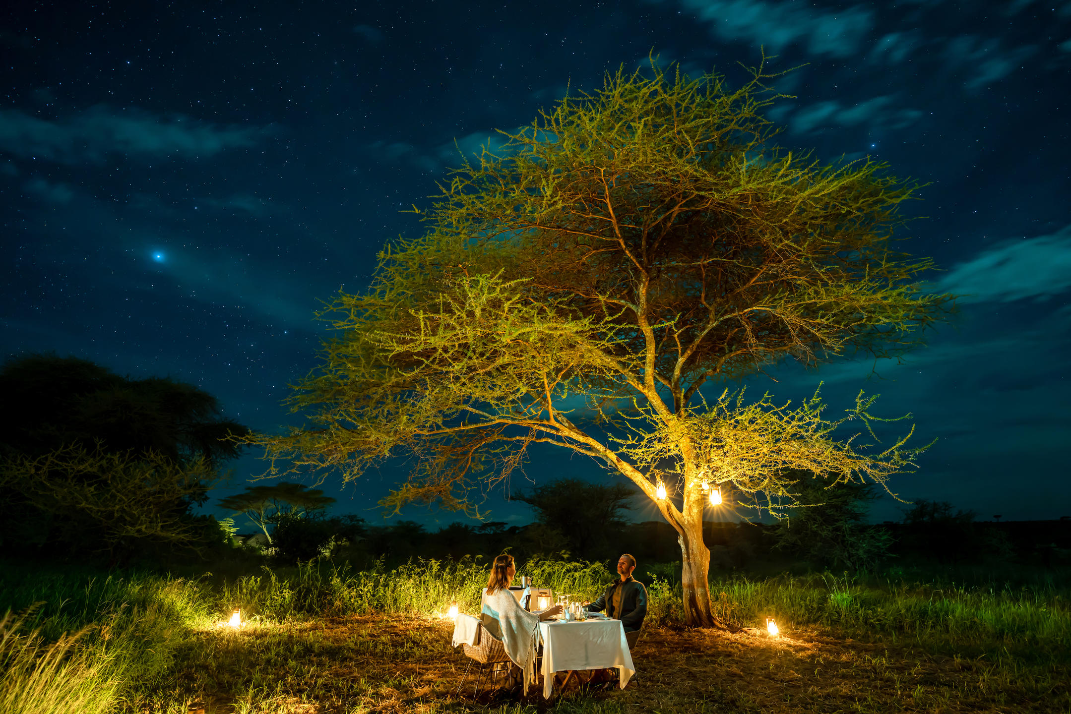 Stress-Free Tanzania Safaris