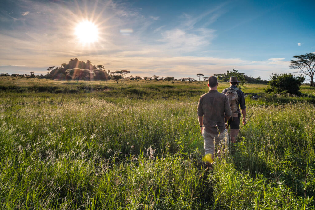 Expert-Guided Tanzania Safaris