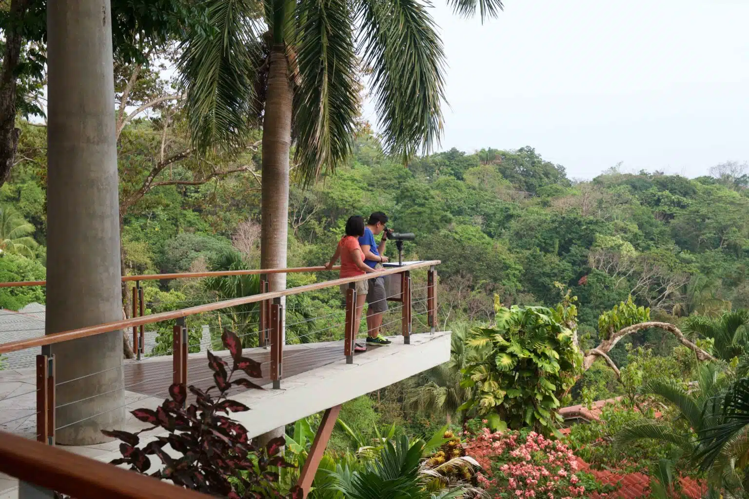 Birdwatching in Costa Rica — birdwatching in the Central and South Pacific