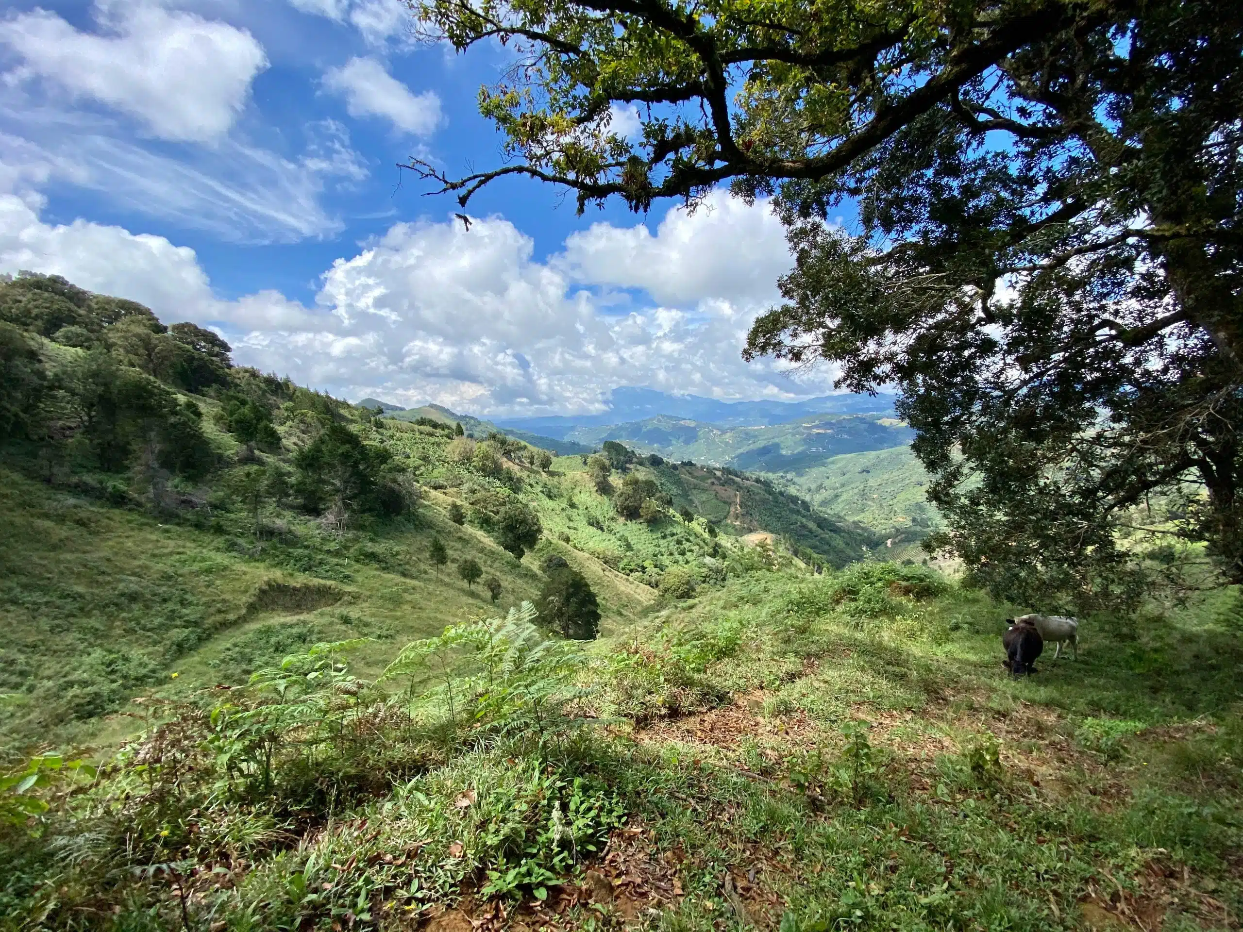 Hills In Costa Rica — Ultimate Costa Rica