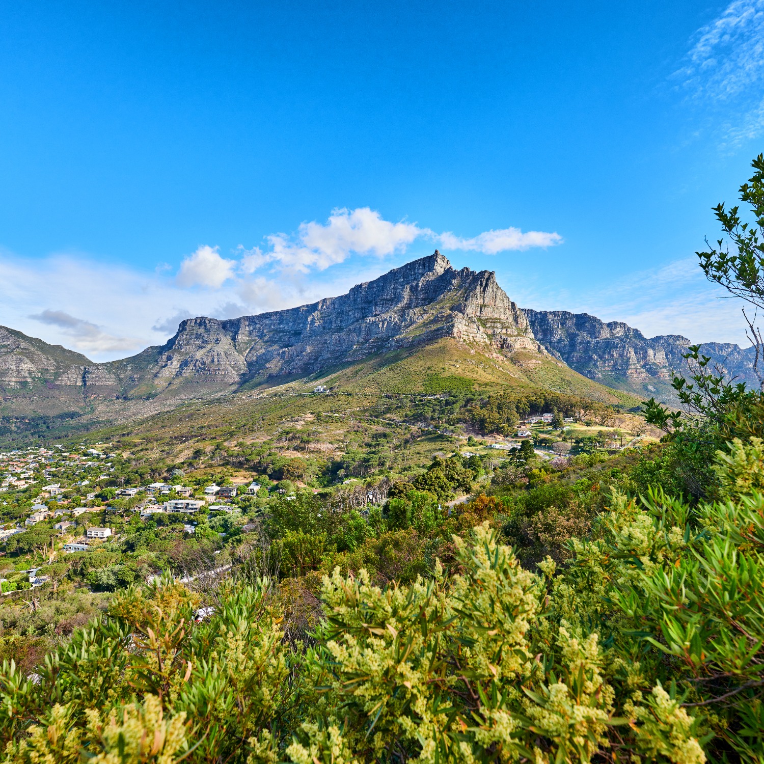 Table Mountain Nature Reserve — Cape Town nature