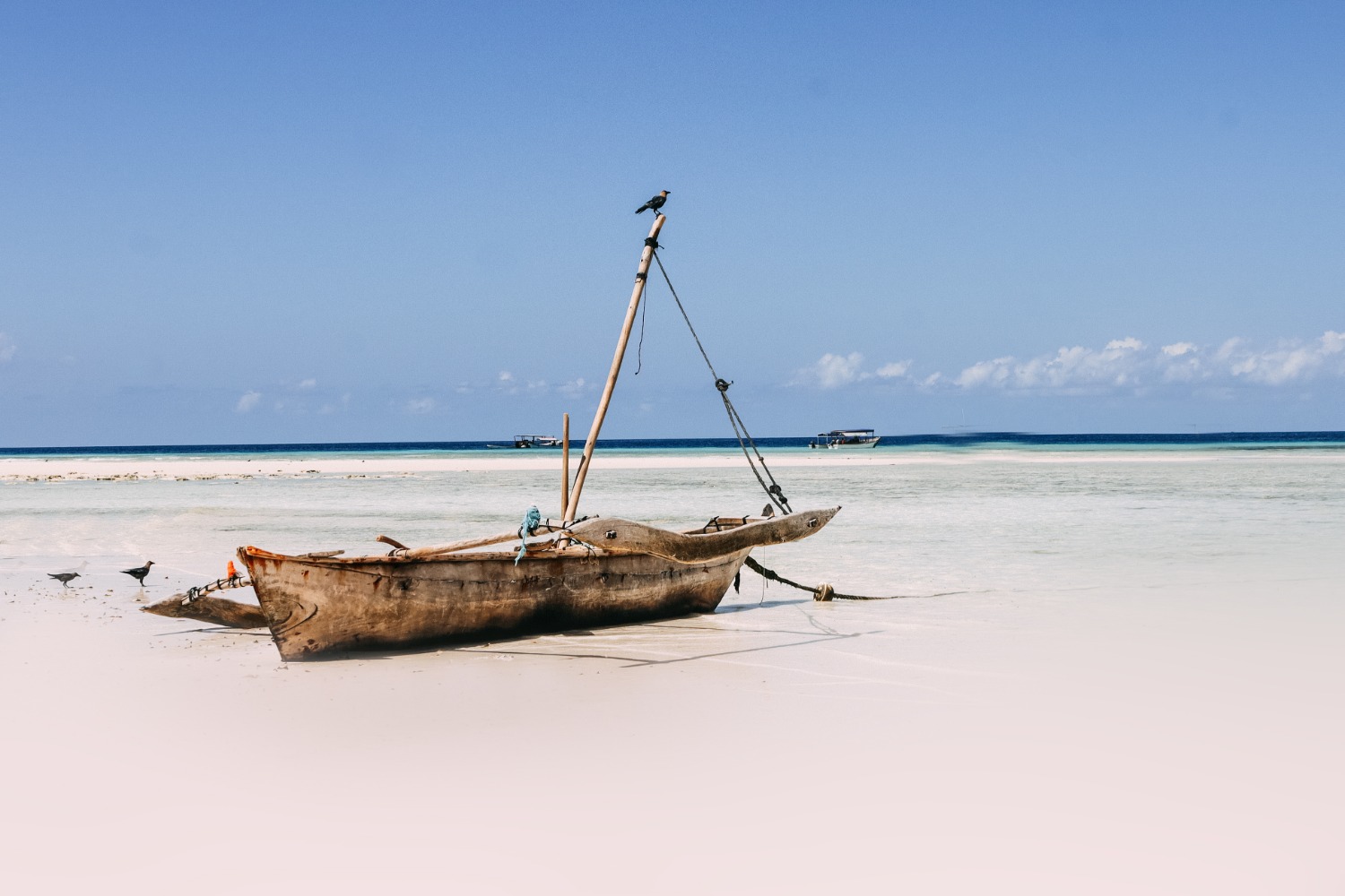 Zanzibar beach on a Tanzania bush and beach holiday