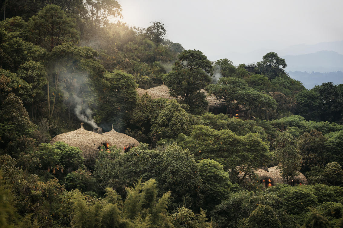 Bisate Lodge Views — Overview
