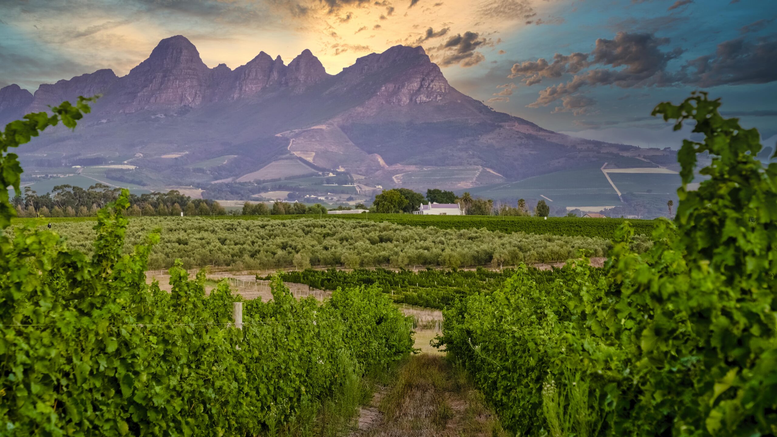 Franschhoek restaurants